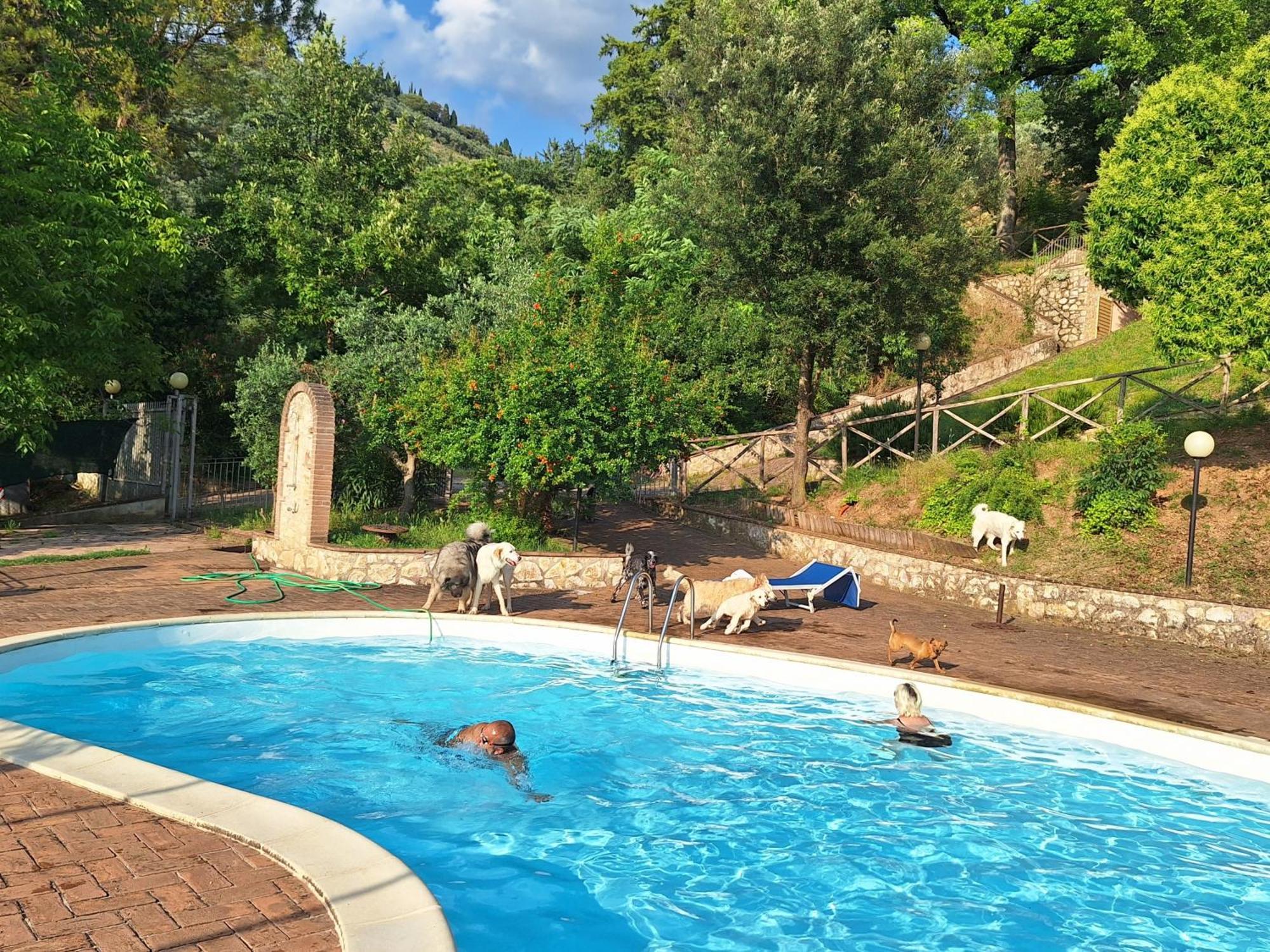 Setterhouseagrihotel Треві Екстер'єр фото